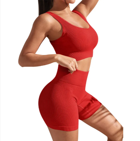 Seamless Yoga Fitness Set for Women