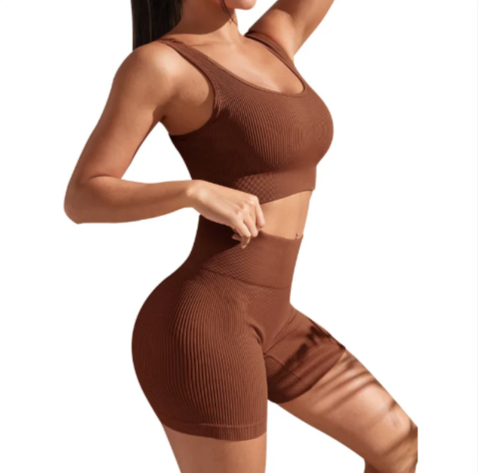 Seamless Yoga Fitness Set for Women