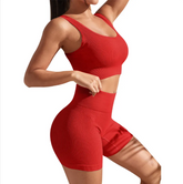 Seamless Yoga Fitness Set for Women