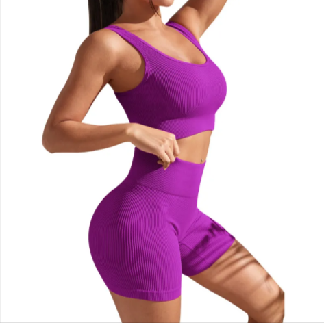 Seamless Yoga Fitness Set for Women